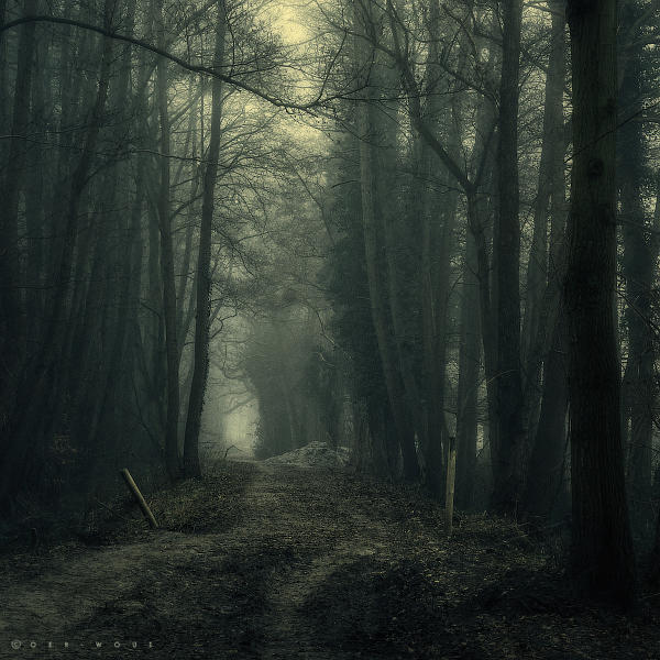 a Deeper Silence by Oer-Wout a Deeper Silence by Oer-Wout