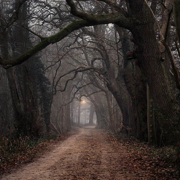 Dark Mantra by Oer-Wout