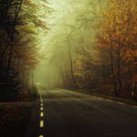 The Road by Oer-Wout