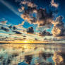 Breathe in this Moment