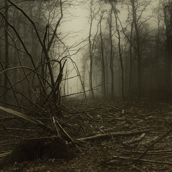 Spirits Sigh by Oer-Wout