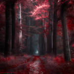 Bloody Woods by Oer-Wout