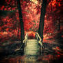 Autumn Fever