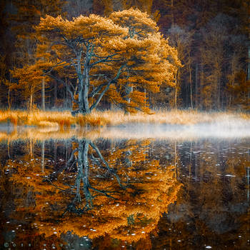 Silent Waters by Oer-Wout