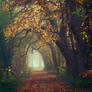 Autumn in my Heart