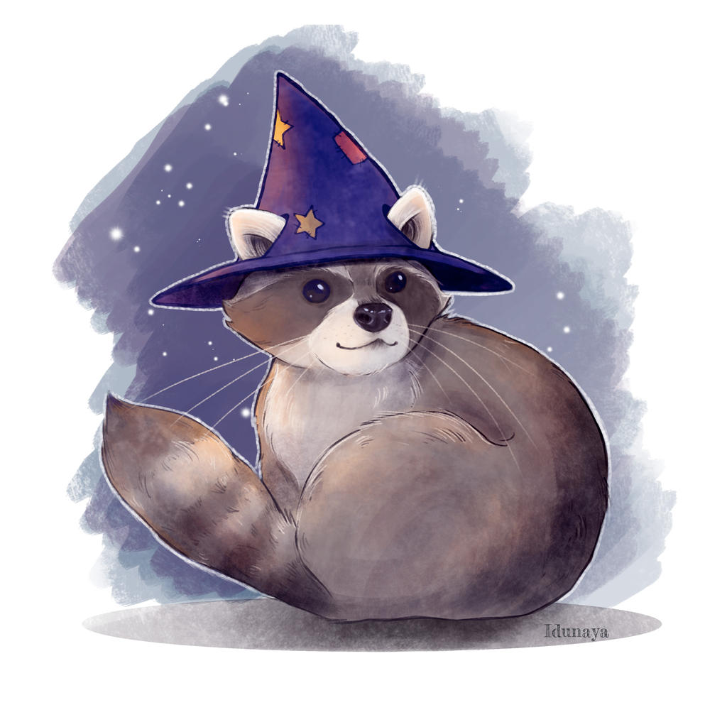 Magical Racoon by Idunaya on DeviantArt