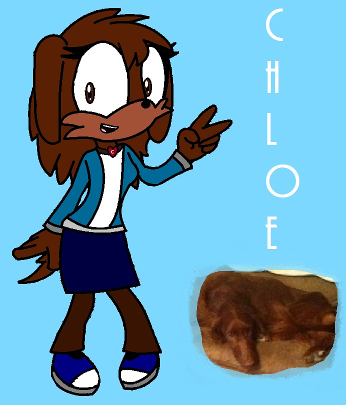 New Sonic OC :: Chloe