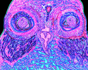 Owl -pink and purple-