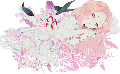 Pink lilium to nanii