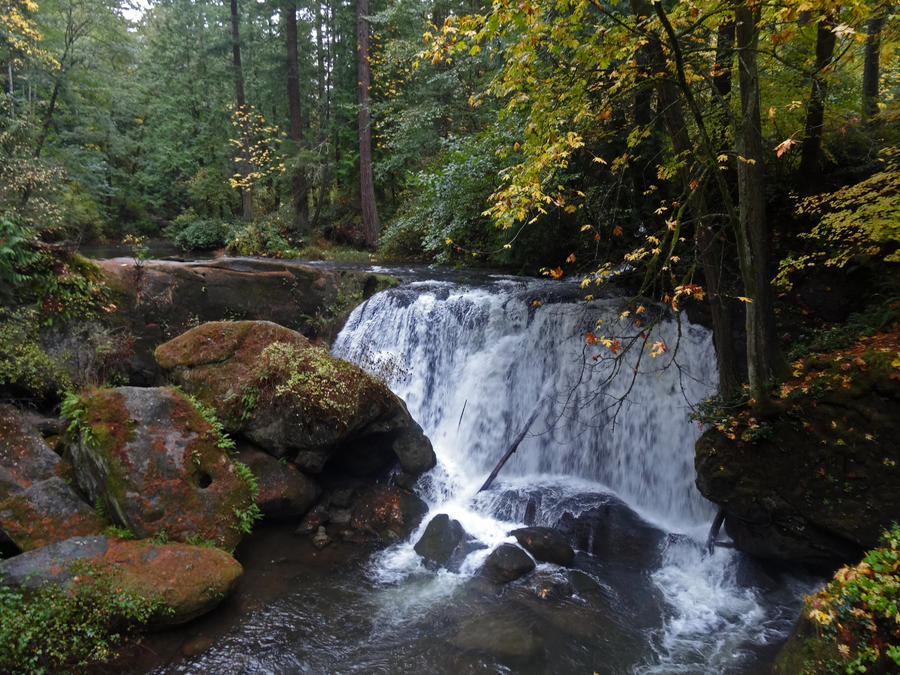 Woodland Waterfall