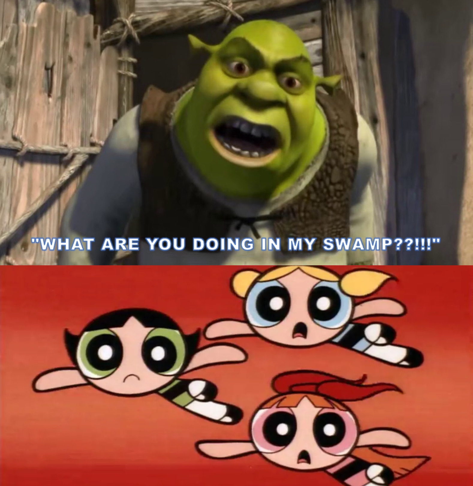 Shrek Power PPG's at Shrek's Swamp by GeoNonnyJenny on DeviantArt