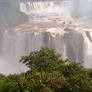 At Iguassu Falls I