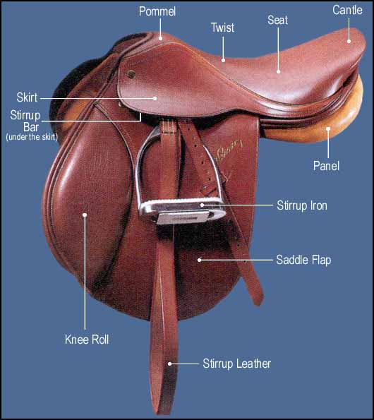 English saddle diagram by Equine-Help on DeviantArt