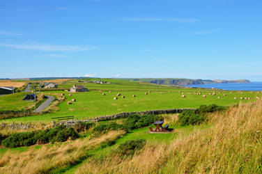 Summer in Scotland by PomPrint