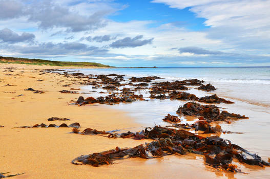 St. Combs Beach