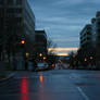 Wet D.C. Street