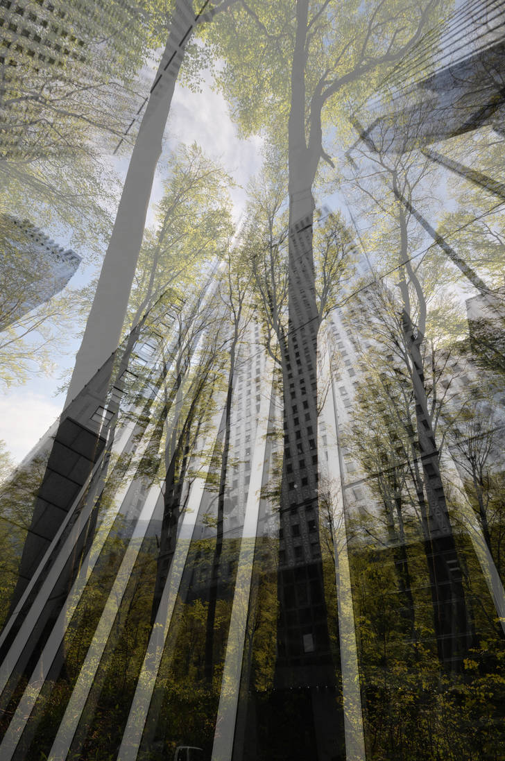 Parallel Forest by EndlessBlueForest on DeviantArt