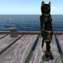 anthro bastet cat