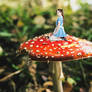 Dreaming of Wonderland