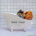 Babies Bath Time by TamarViewStudio