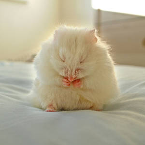 Meditation by TamarViewStudio Meditation by TamarViewStudio