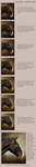 Snickers walk-through by TamarViewStudio Snickers walk-through by TamarViewStudio