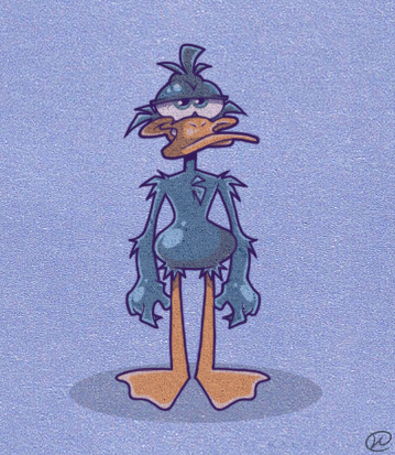 Duck