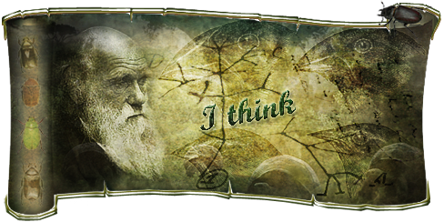 Darwin banner