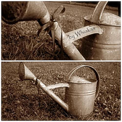 Watering Can