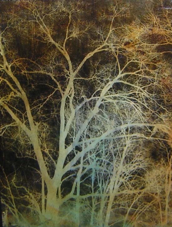 Inverted Tree by CrowsonArt on DeviantArt