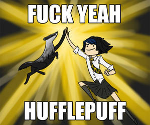 HUFFLEPUFF HOUSE PRIDE