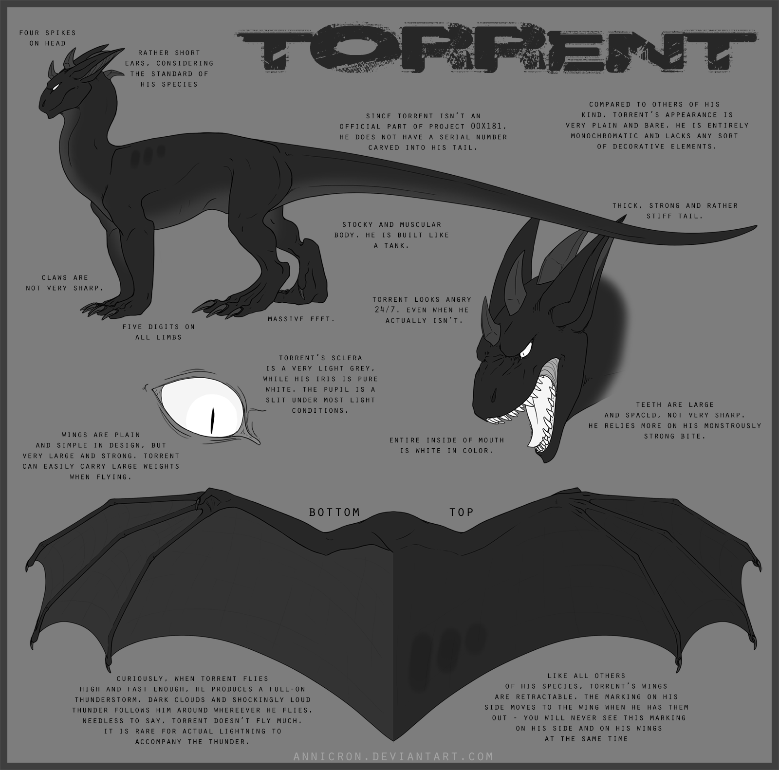 Torrent Ref V 2.0 By Annicron On DeviantArt