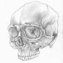 Traditional skull!!