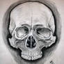 Big A$$ Charcoal skull drawing!