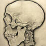 Big A$$ Profile Skull Drawing!