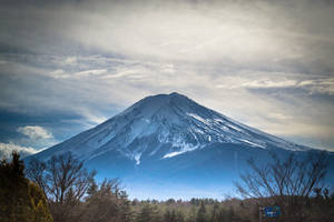 Mt. Fuji 2