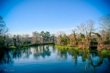 Augusta Canal: Savannah River