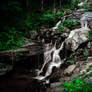 Amicalola Falls State Park: Lower Fall Part