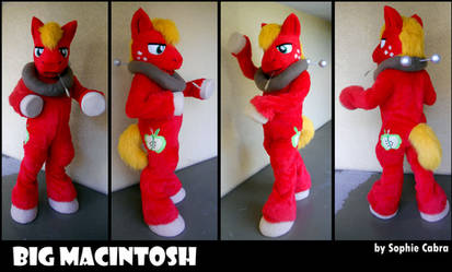 MLP FiM Big Macintosh Cosplay