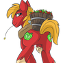 Big Mac Got Back