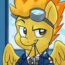 MLP Portrait Series - Spitfire