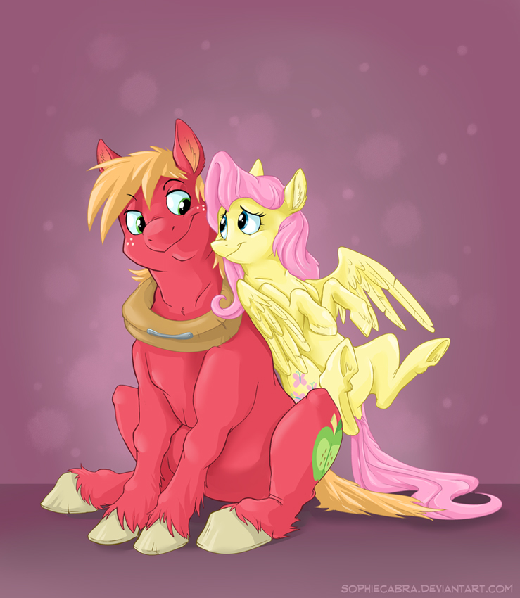 FriendSHIP is Magic Series - Fluttermac