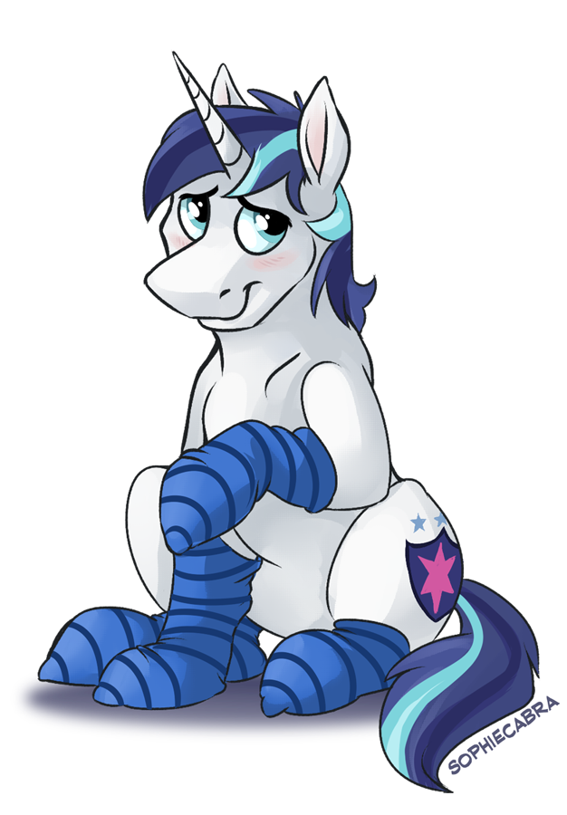 Shiny Socks