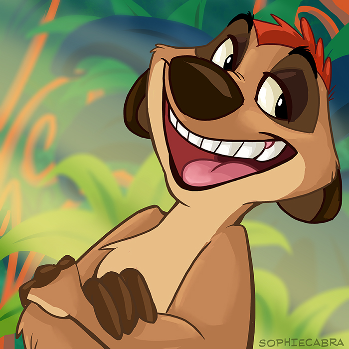 Timathon Racoon Fan Favorite Series #27 - Timon by SpainFischer on DeviantArt