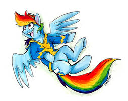 Dashie