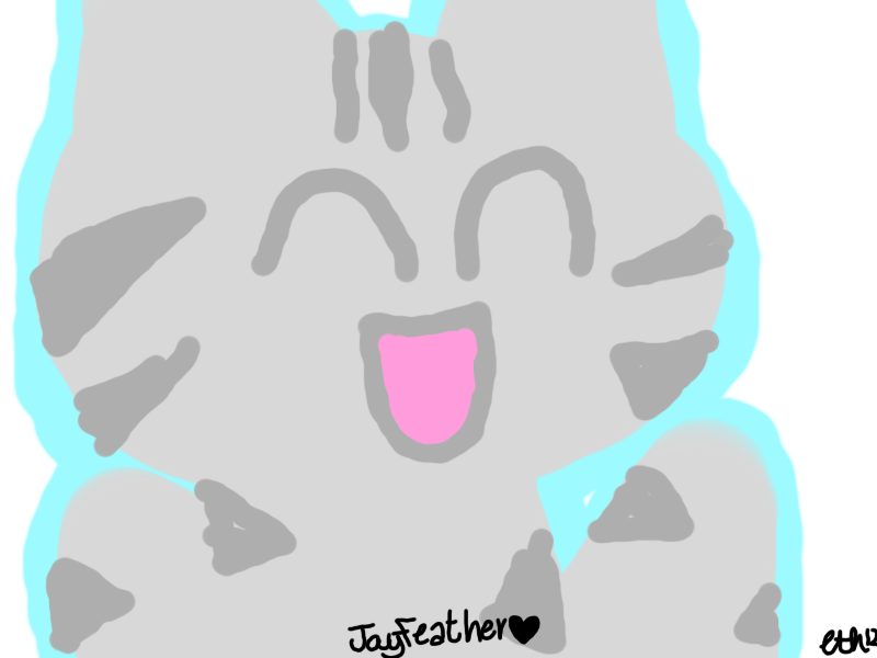 LOL I WAS BORED OKAY ~ Jayfeather ~