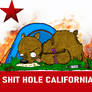 New California flag
