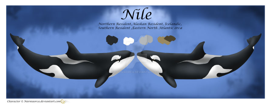 Nile Reference Sheet