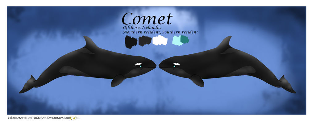 Comet reference sheet