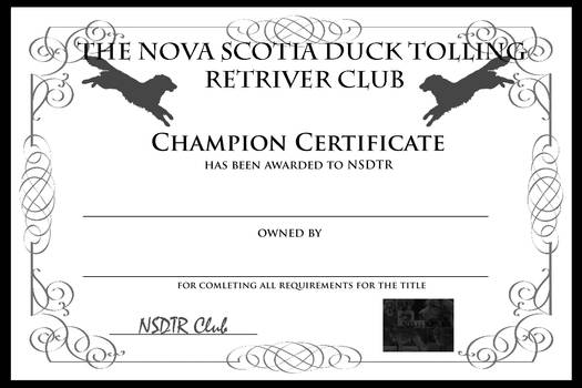 Champion Certificate